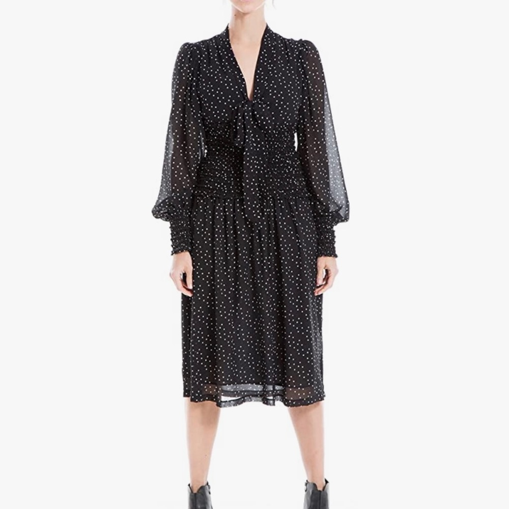 Max Studio polka dot chiffon fit and flare BNWOT
